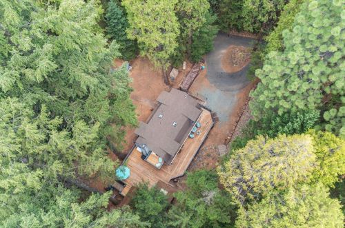 16199 Pioneer Creek Rd, Pioneer CA  95666-9415 exterior