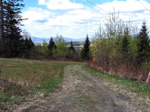 848 Diamond Pond Rd, Columbia NH  03576-5611 exterior