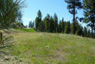 16 Sarah Way, Warm Lake, ID 83611-5122