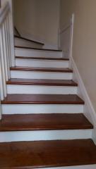 2709 Peniston St, New Orleans LA  70115-6830 exterior