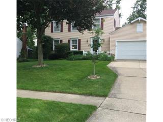 599 Falling Oaks Dr, Medina, OH 44256-2717