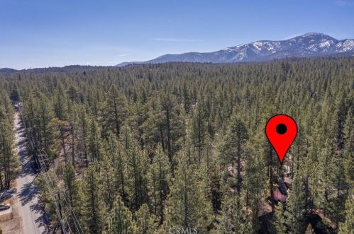 919 Mountain Ln, Big Bear City CA  92314 exterior