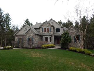 3586 Thomas Lincoln Pkwy, Medina, OH 44256-6924