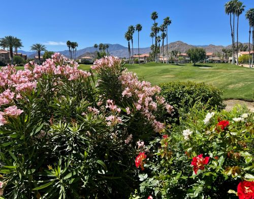 78387 Terra Cotta Ct, La Quinta CA  92253-3809 exterior