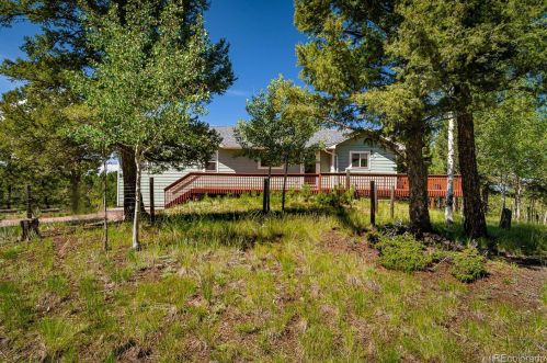 31 Spruce Lake Dr, Divide, CO 80814-9757