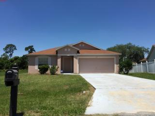 517 Basil Ct, Kissimmee, FL 34759-5311