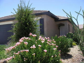 26453 Ross Ave, Buckeye, AZ 85396-9208