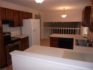 33365 Rockford Dr, Cleveland OH  44139-1934 exterior