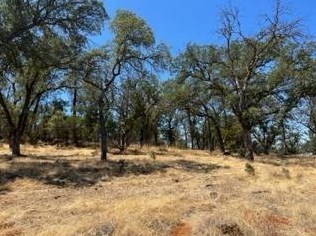 6321 Upper Palermo Rd, Oroville CA  95966-9017 exterior