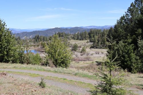 28901 Skyview Rd, Willits CA  95490-8420 exterior