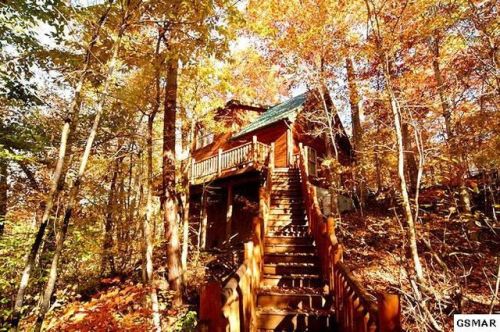 1420 Silver Poplar Ln, Pigeon Forge, TN 37876-4935