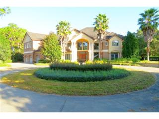 18541 Council Crest Dr, Odessa, FL 33556-5039