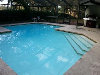 3913 Applegate Cir, Brandon, FL 33511-7950