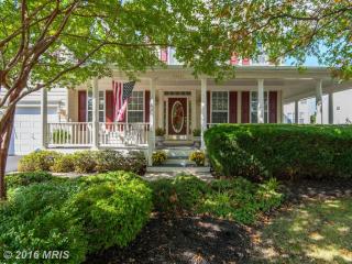 43061 Battery Point Pl, Leesburg VA  20176-6493 exterior