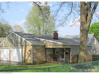 271 Lownsdale Ave, Akron, OH 44313-7255