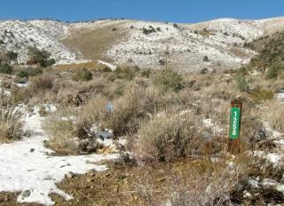 1258 Slate Rd, Wellington, NV 89444-9440