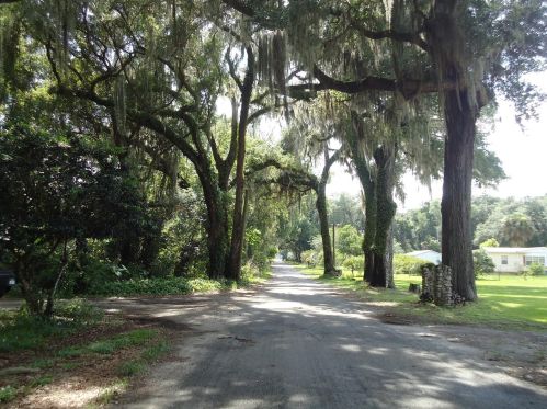 13291 122nd Pl, Ocklawaha FL  32179-5138 exterior