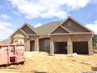 102 Castletown Ln, Madison, AL 35757-6959
