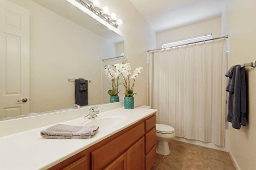 767 Red Barn Pl, Lathrop CA  95330-8975 exterior
