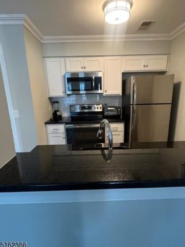 53 Cheswich Ct, Bedminster, NJ 07921-1803