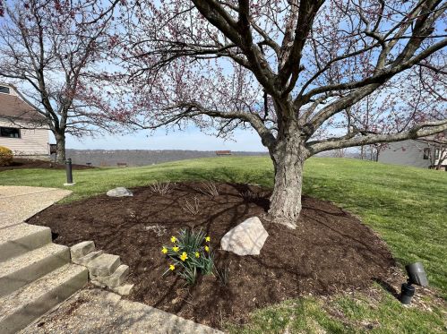 2926 Vista Ct, Covington KY  41017-3687 exterior