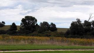 707 Clancy St, Jefferson, WI 53549-2251