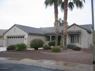 15869 Star View Ln, Sun City, AZ 85374-5606
