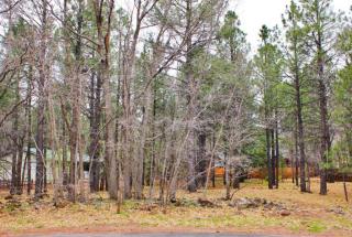 3934 Snow Cir, Pinetop, AZ 85935-8580