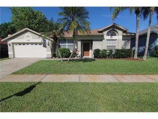 3926 Yellow Finch Ln, Lutz, FL 33558-2705