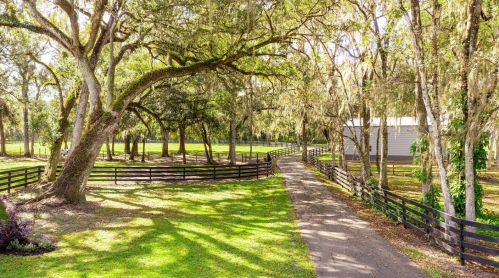 28001 Villa Rd, Dade City FL  33525-7922 exterior