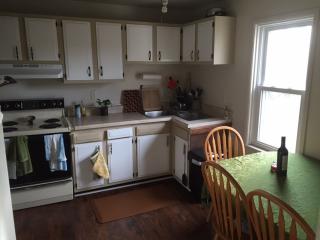 62 Mount Oliver St, Pittsburgh PA  15210-1746 exterior