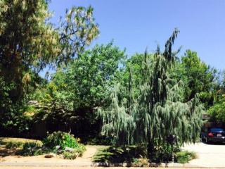 2740 Dovewood Ln, Fresno, CA 93711-2519