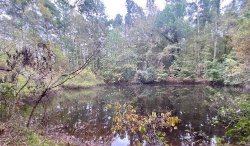 1425 Martintown Rd, North Augusta SC 29860-8407 exterior