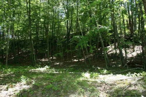 722 Vly Rd, Olive, NY