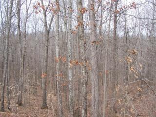 1 Dunaway Rd, Beattyville KY  41311-9008 exterior