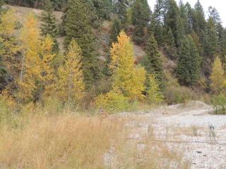 3031 Quarry Browns Lake Rd, Chewelah, WA 99109-9637