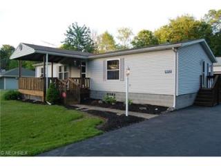 972 Ridge Rd, Vienna, OH 44473-9747