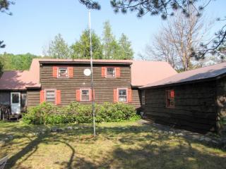278 Carl Turner Rd, Chestertown, NY 12817-4708