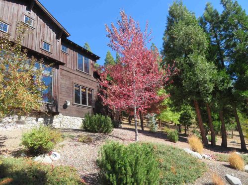 206 Peppergrass Ln, Portola, CA 96122-7309