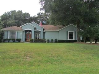 19658 88th Loop, Dunnellon, FL 34432-2663
