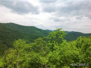 701 Bluemist Way, Oak Park, NC 28704-9165