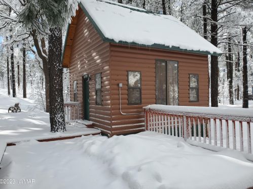 123 Sky Hi Dr, Pinetop AZ  85935-8802 exterior