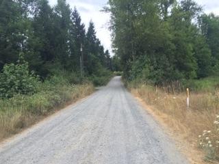 33316 54th Ave, Roy, WA 98580-9410