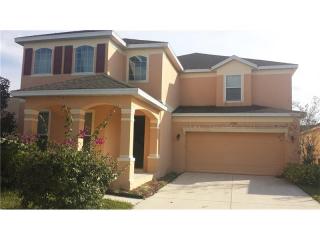 11706 Fitzgerald Butler Rd, Orlando, FL 32836-8842
