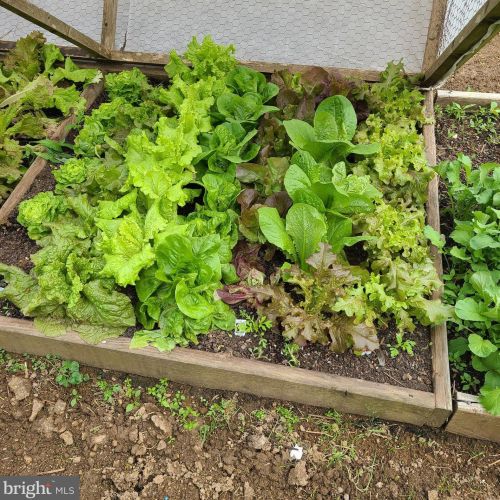 1139 Wilson Ave, Glen Mills PA  19342-9610 exterior