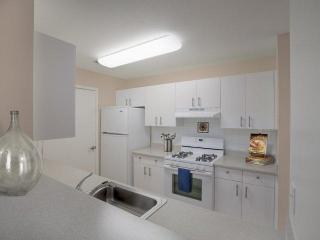313 Avalon Cir, Smithtown NY  11787-3858 exterior