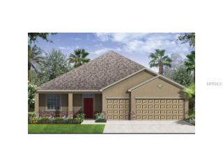 10044 Celtic Ash Dr, Ruskin, FL 33573-6729