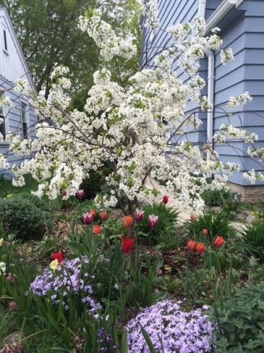 3617 Lenox St, Milwaukee WI 53207-5240 exterior