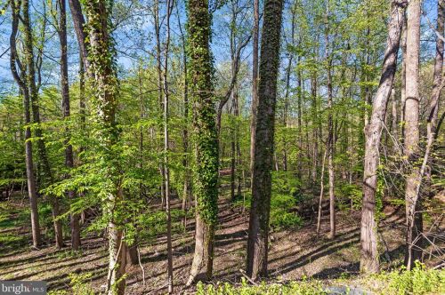 2314 Horseferry Ct, Herndon VA  20191-2718 exterior