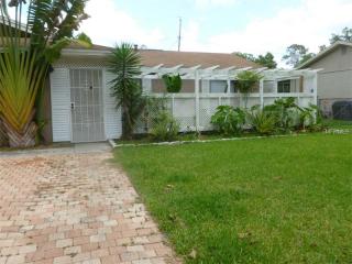 718 Holly Ter, Brandon, FL 33511-5432